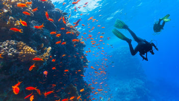 Why ECONYL Swimwear is the Eco-Friendly Choice for Your Summer Wardrobe - Jenna Bricher Swim
